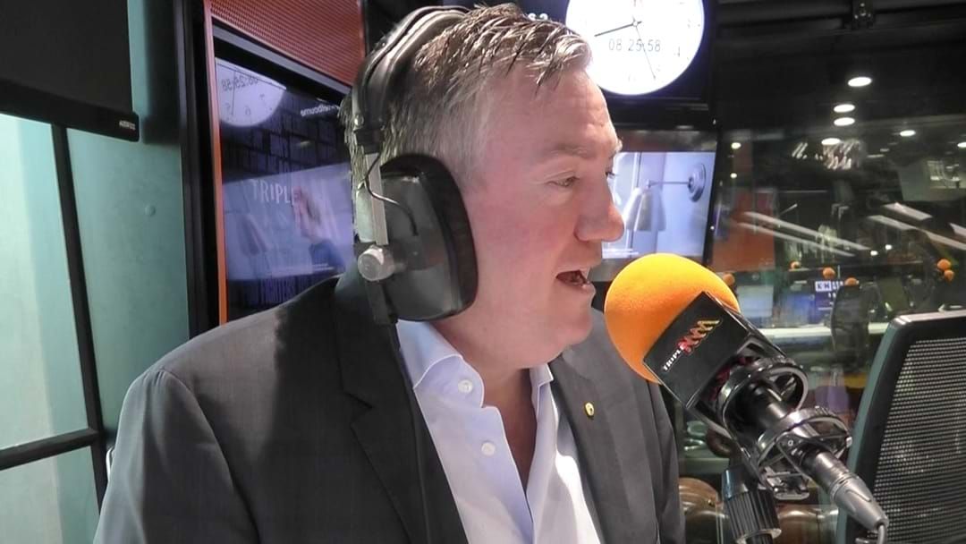 Article heading image for Eddie McGuire Responds To Tim Watson's Huge New Footy Show Rumours