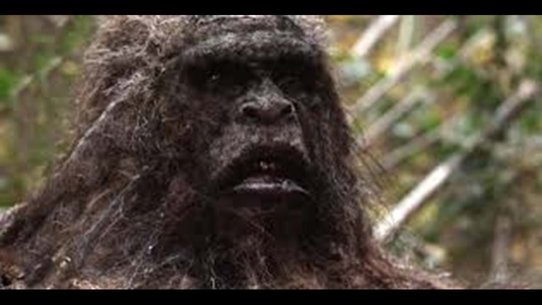 Article heading image for If you never want to sleep again listen to this EPIC local Yowie encounter 