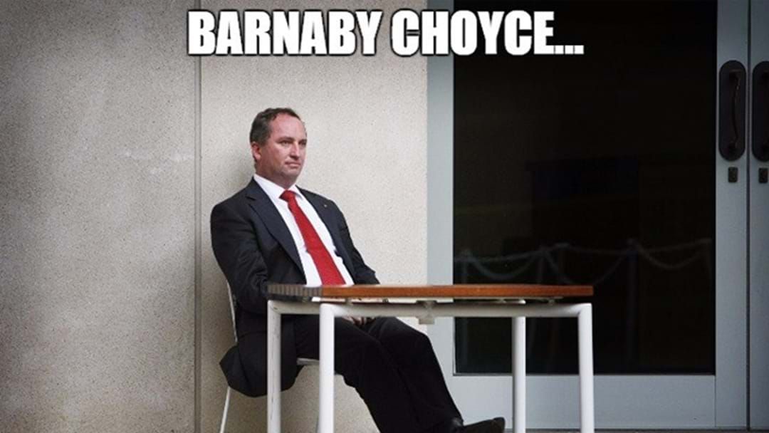 Article heading image for Barnaby "Choyce" Memes Are Spreading Like Wildfire