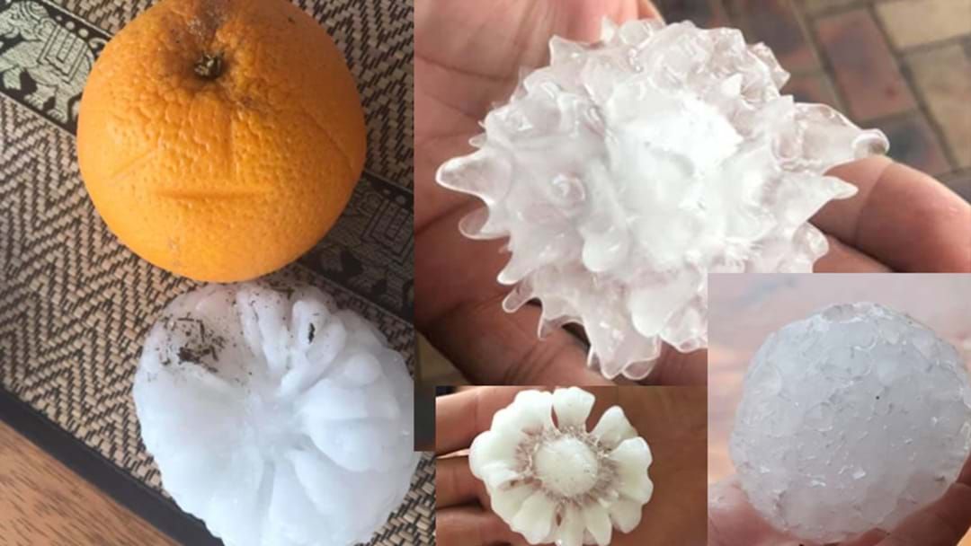 Article heading image for Sydney Has Been Hit With HUGE Hailstones