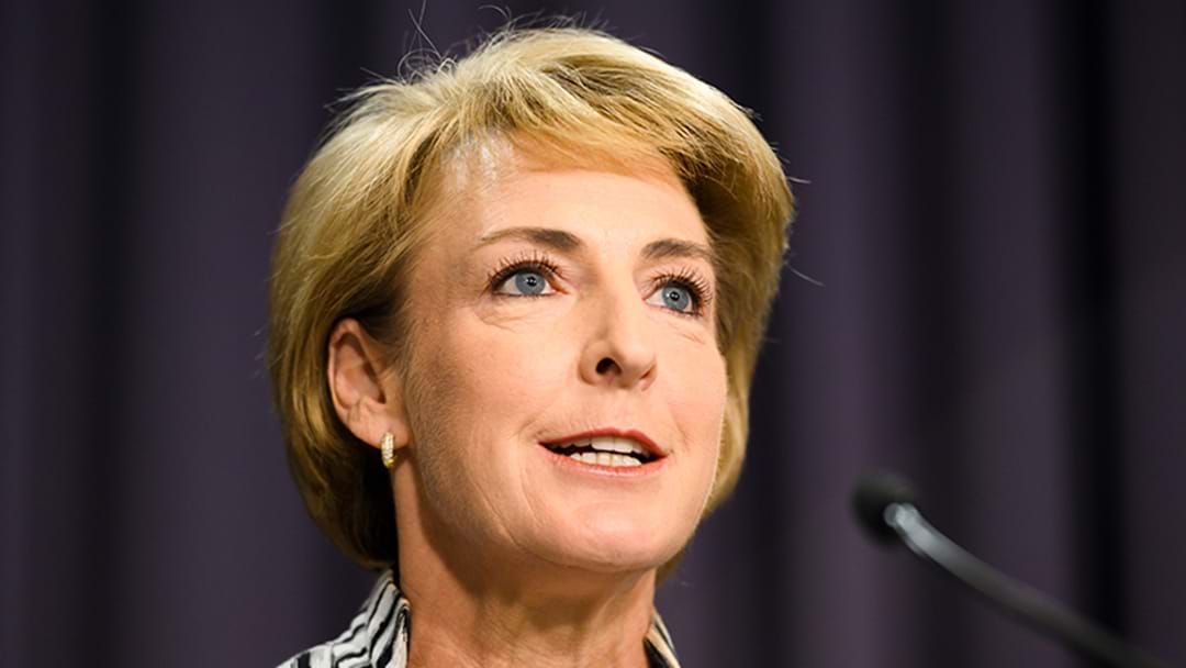 Article heading image for Minister For Employment Michaelia Cash Explains New Government Website Jobs Hub