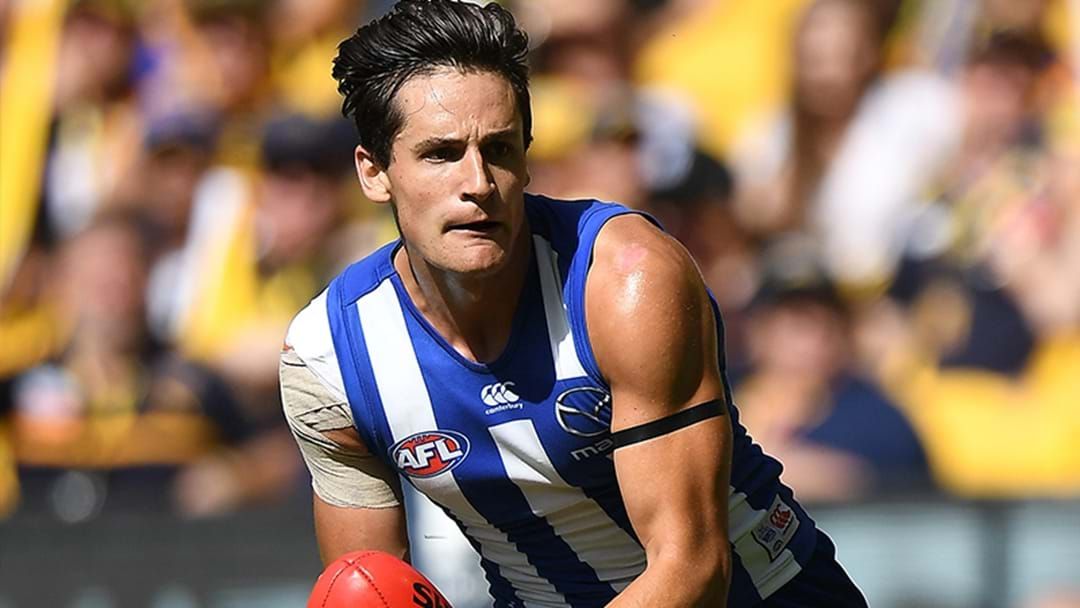 Article heading image for Mitchell Hibberd Has Been Delisted By North Melbourne