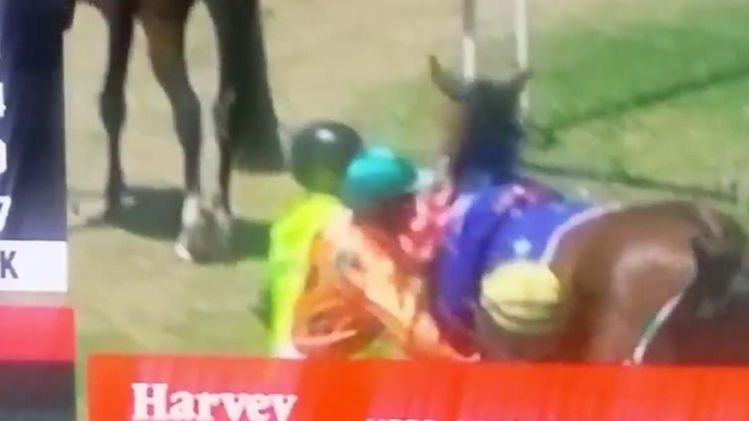Article heading image for Jockey Handed Two-Week Suspension For Punching Horse Prior To Race 