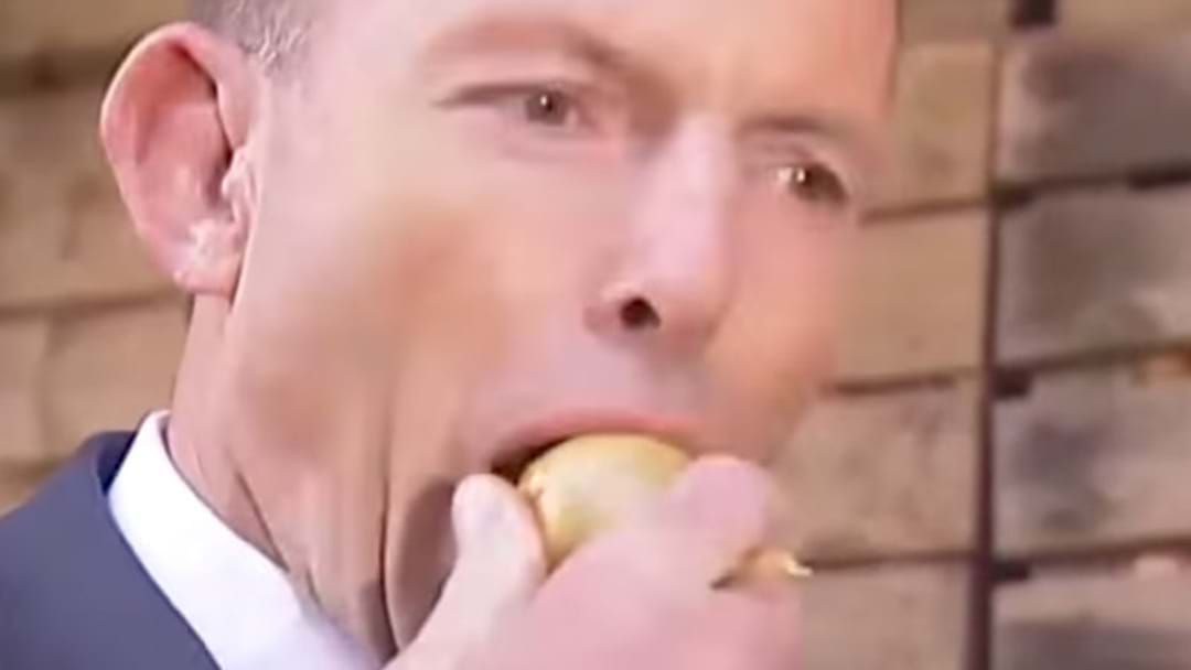 Article heading image for Turns Out Tony Abbott Regrets Eating That Onion