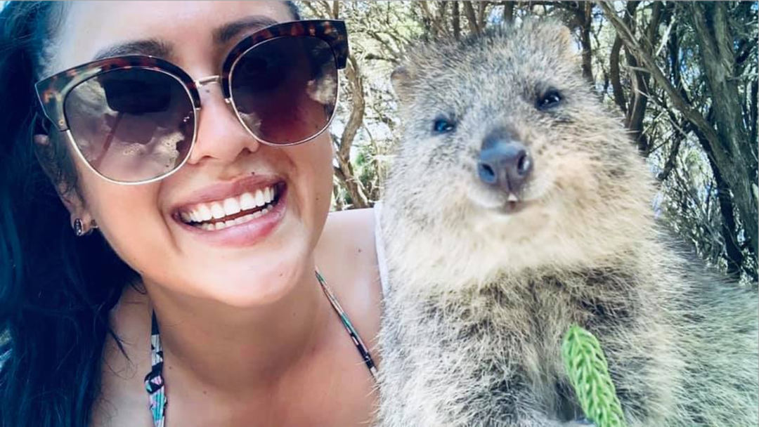 Article heading image for Jesse & Juelz Took Listeners To Rottnest Island To Find Quokkas And This Is What Happened 