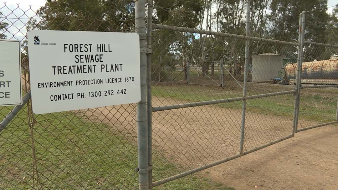 Article heading image for Contaminated effluent at Forest Hill cannot be released, according to the EPA