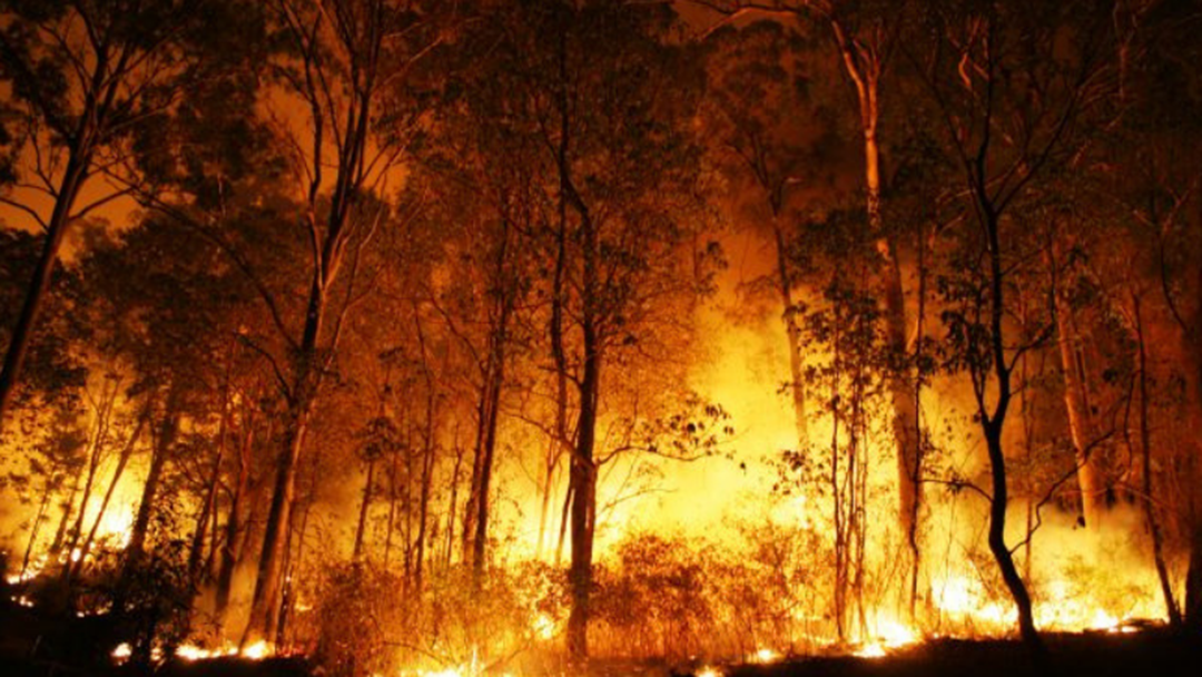 Article heading image for Brad Stewart From RHS Shares How You Can Get Prepared For Bushfire Season
