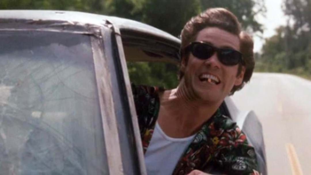 Article heading image for Man Slams Car Into Tree After Trying To Drive With His Head Out The Window Like 'Ace Ventura'