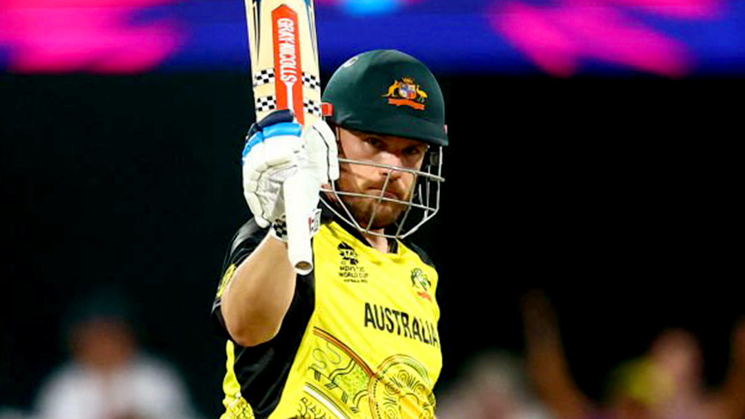 Article heading image for Brad Haddin On Potential Aaron Finch Injury Replacements