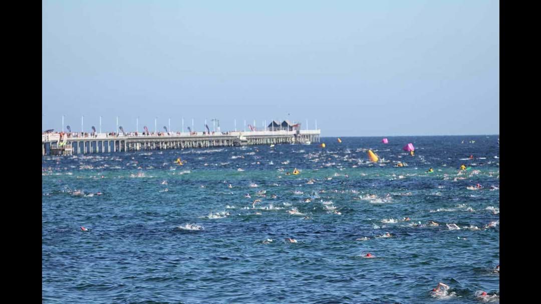 Article heading image for Busselton Jetty Swim