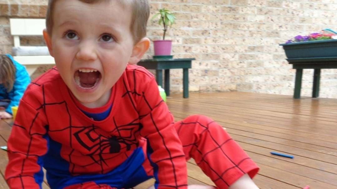 Article heading image for Red Fabric Pulled From Creek In Search For William Tyrrell's Remains 