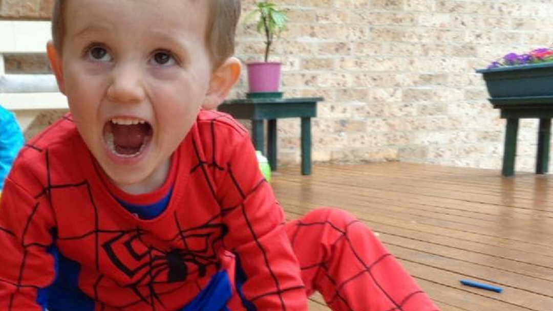 Article heading image for BREAKING NEWS: Large Scale Search to be Conducted into William Tyrrell’s Disappearance