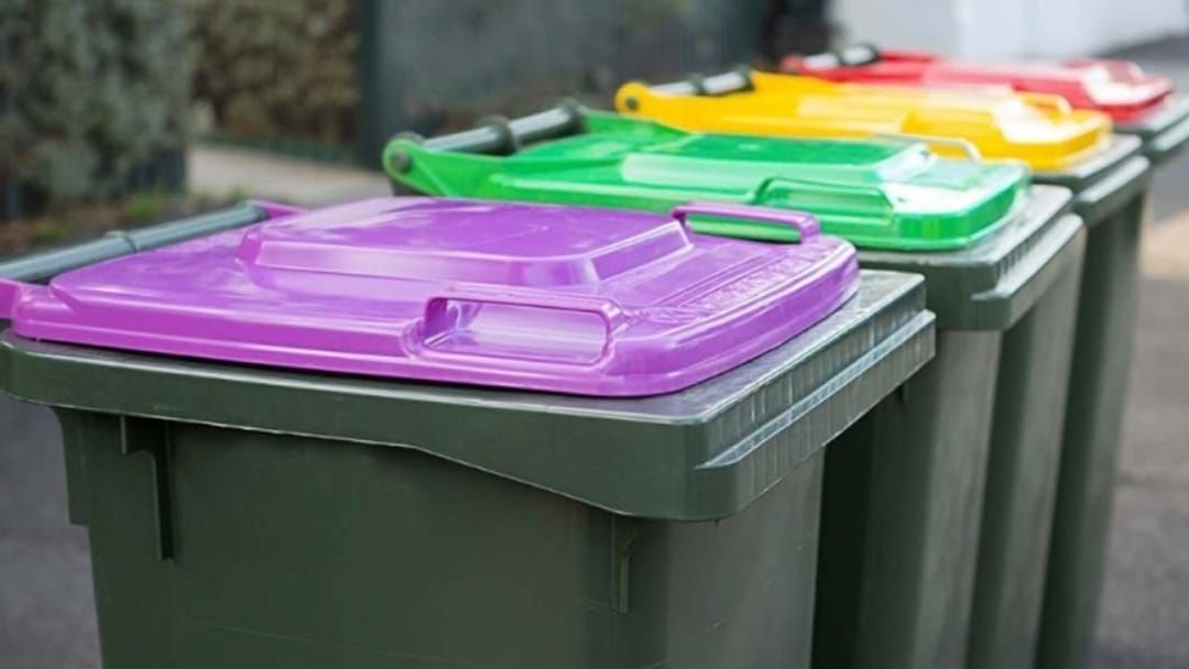 Article heading image for Four Wheelie Bins To Help Victorians Recycle Soft Plastics And Pizza Boxes