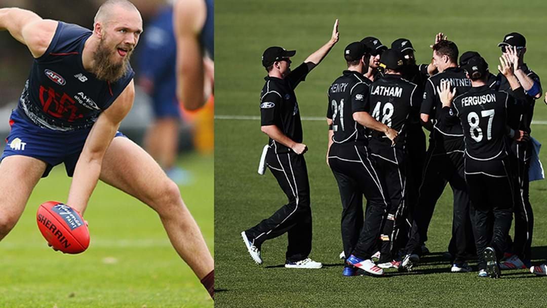 Article heading image for Max Gawn Barracks For New Zealand In The Cricket