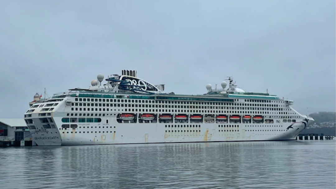Article heading image for Search Underway For Woman Who Fell Overboard From Cruise Ship