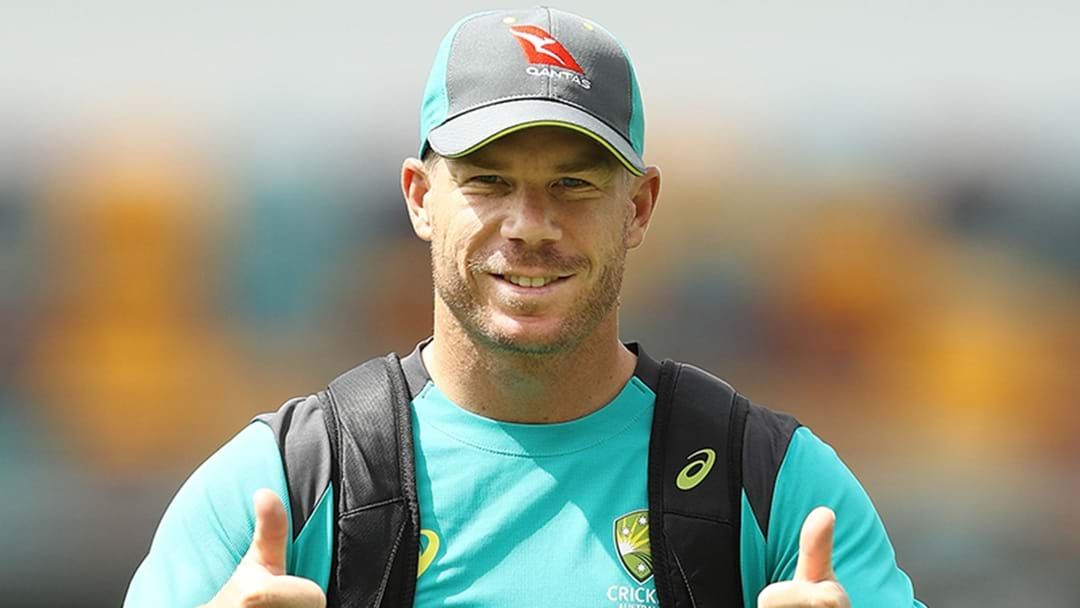 Article heading image for David Warner Flags The Possibility Of Entering Politics