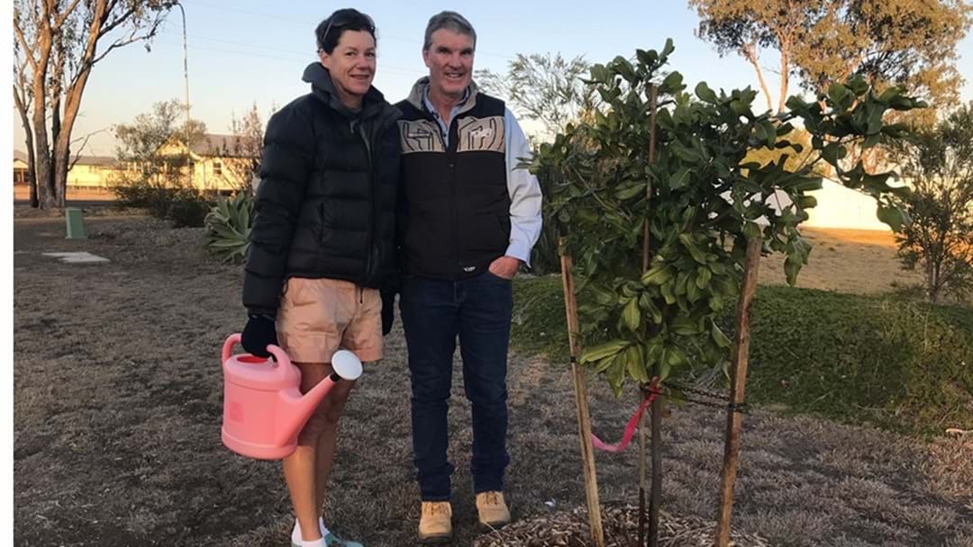 Article heading image for Adopt a Street Tree Spreading Roots across the Western Downs