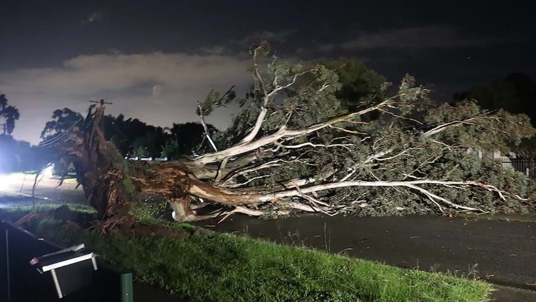 Article heading image for Perth Homes Still Left Without Power Following Storms, Warnings Still In Place
