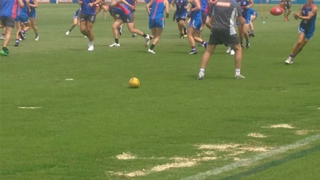 Article heading image for Western Bulldogs Hold Historic Joint Training Session