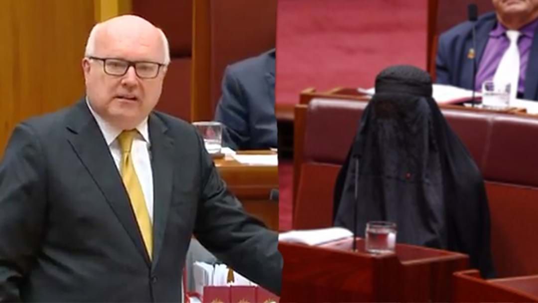 Article heading image for George Brandis Absolutely Rinses Pauline Hanson In Parliament Over Her Burqa Stunt