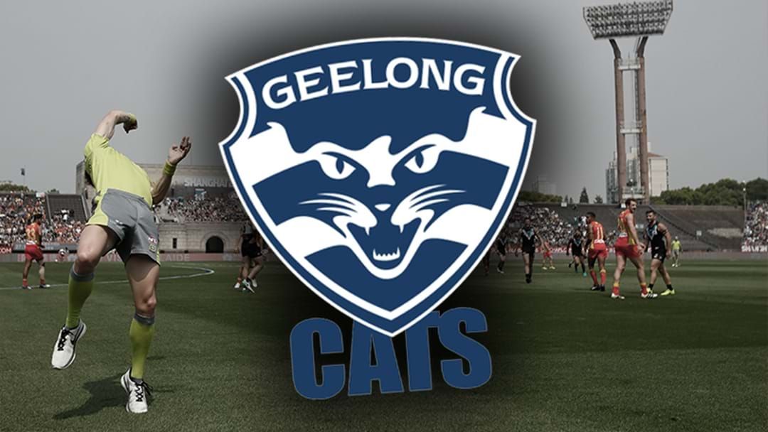 Article heading image for Geelong's CEO Chats About The Possibility Of The Cats Playing In China