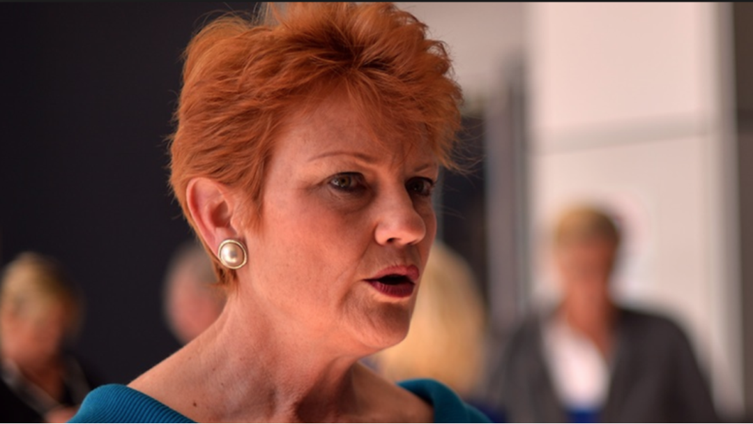 Article heading image for Pauline Hanson Has Been Banned From Twitter 