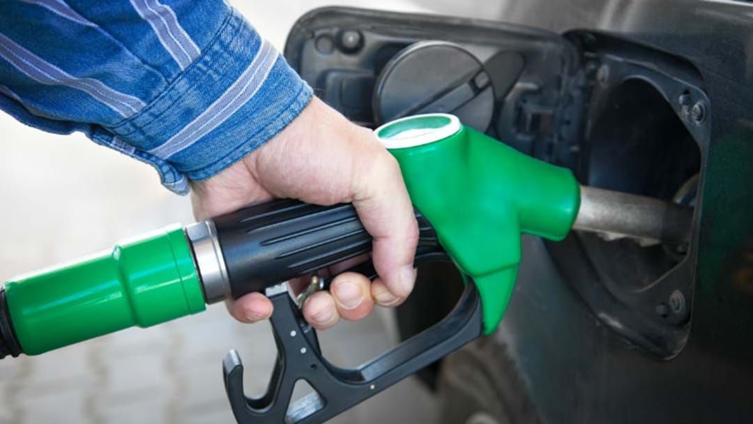 Article heading image for Australians Need To Get Used To High Petrol Prices, Chief Economist Says