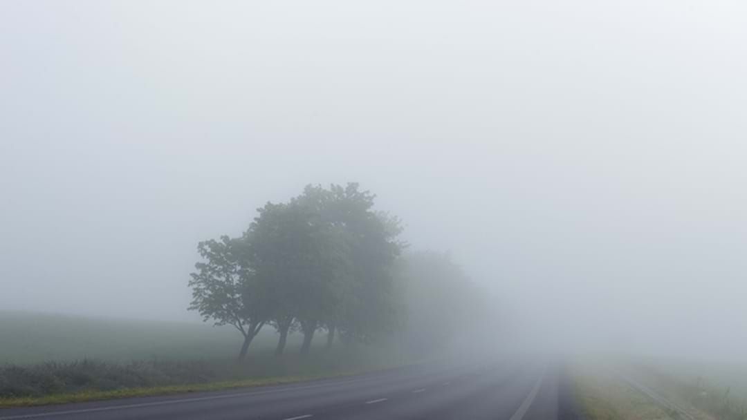 Article heading image for POLICE REMINDER: Driving in Fog = Lights On!