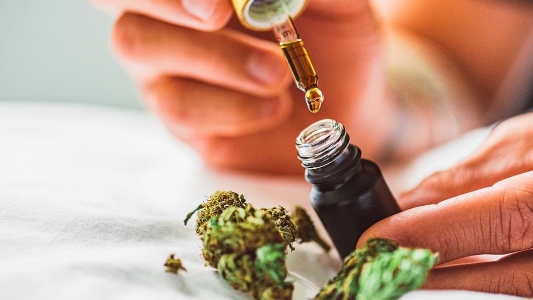 Article heading image for Anxiety Symptoms In Youth Nearly Halved In Medicinal Cannabis Trial