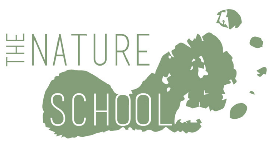 School nature. Представь зеленое фестиваль логотип. Nature School. Nature and School PNG.