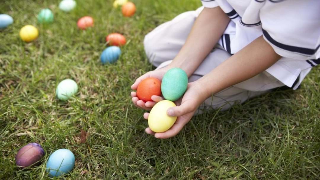 Article heading image for Easter Egg-Stravaganza Egg Hunts Are Happening In Shepparton!