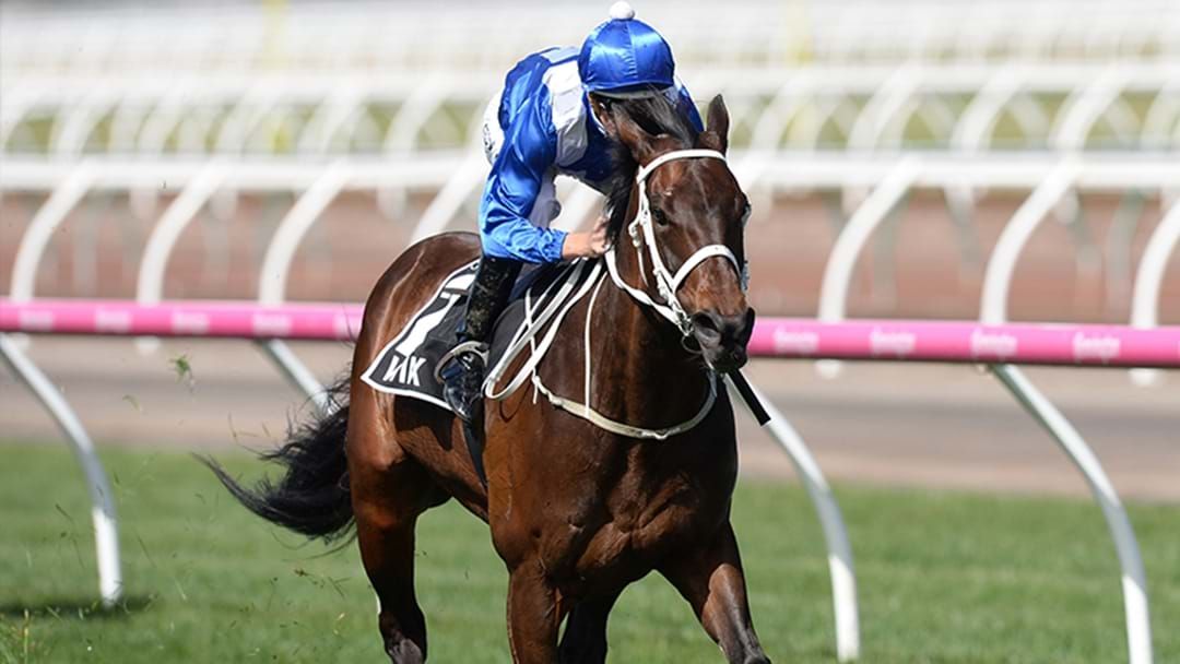 Article heading image for Winx Has Made It 28 Straight At The Turnbull Stakes
