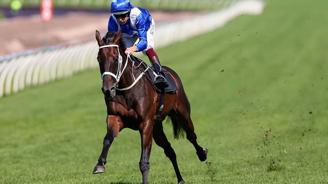 Article heading image for Winx's Trainer Chris Waller Says There's A Chance The Autumn Sun and Winx May Clash At Randwick In A Couple Of Weeks