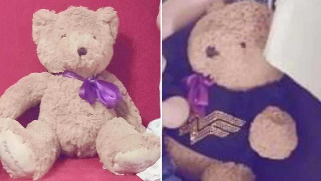 Article heading image for Flower Girl's Ashes Returned After Teddy Bear Disappearance
