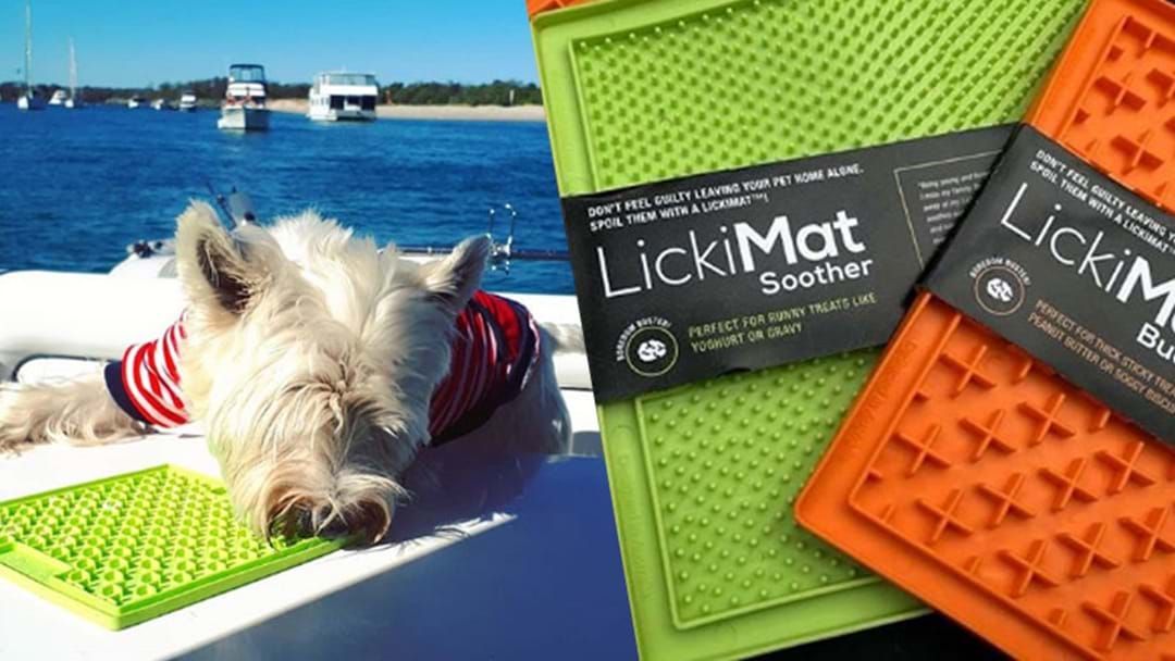 Article heading image for This $9 Aussie Invention Will Help Cure Your Pet’s Anxiety