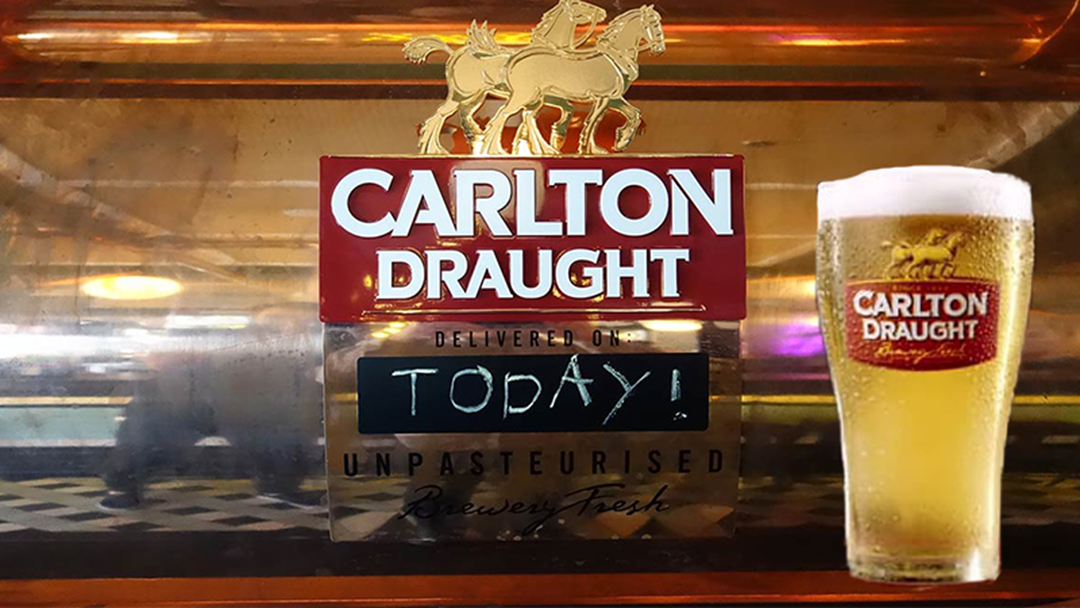 Article heading image for Carlton Draught Are Giving Away Free Beer Across Melbourne Today
