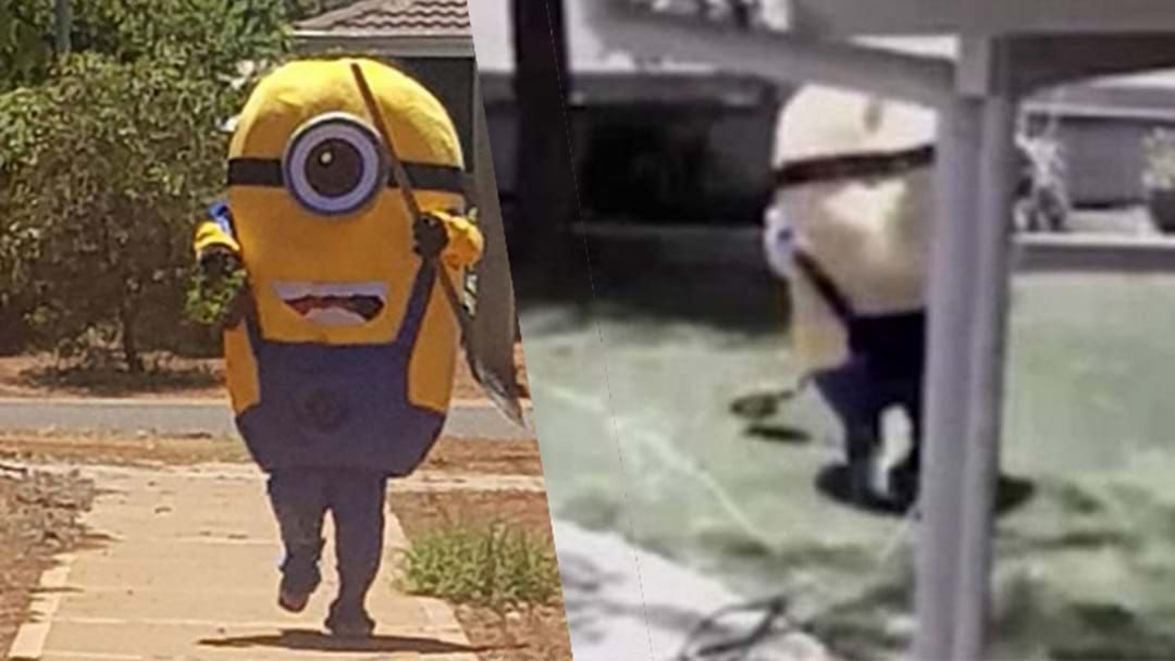 Article heading image for Homeowner Taunted After Person Dressed As Minion Steals Part Of Their Front Lawn