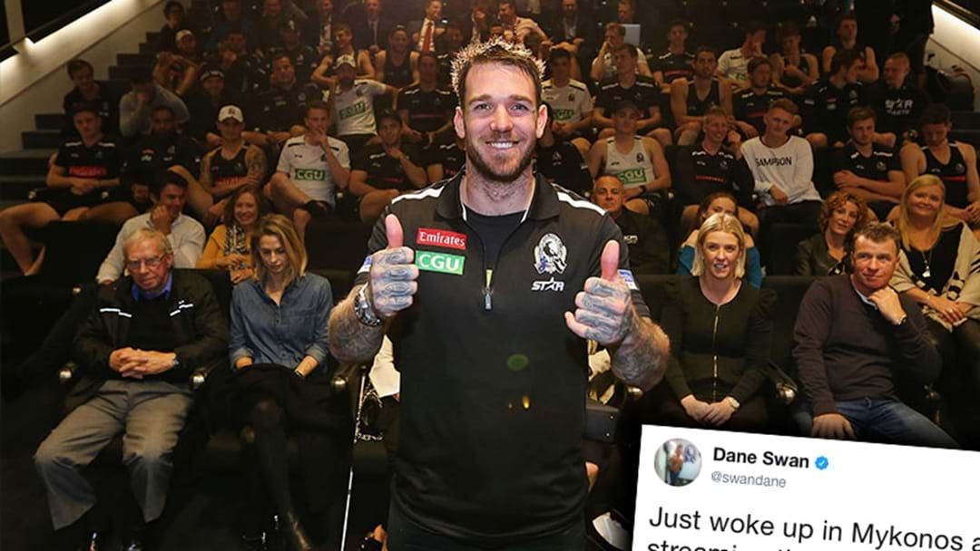 Article heading image for Dane Swan Summed Up How All Pies Fans Are Feeling In One Tweet