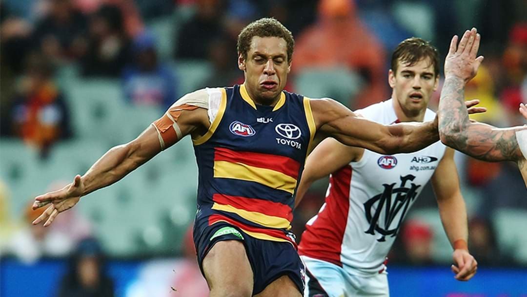 Article heading image for Adelaide Midfielder To Miss Entire 2017 Season