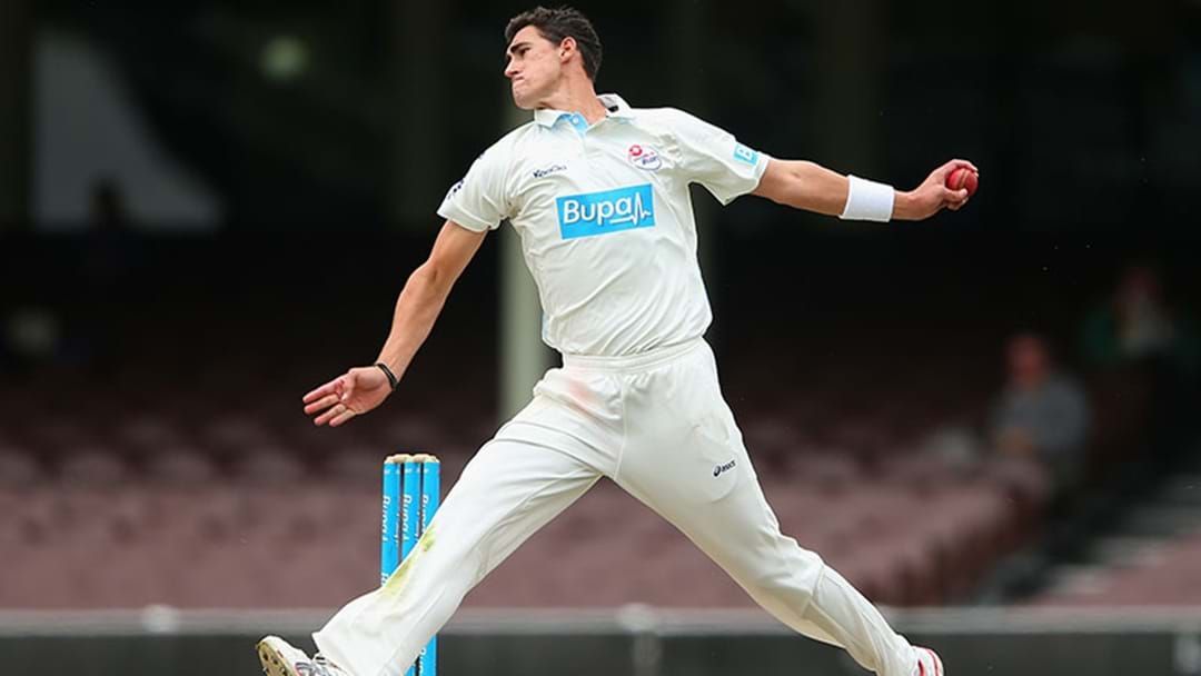 Article heading image for Mitch Starc Just Took A Hat-Trick In The Sheffield Shield
