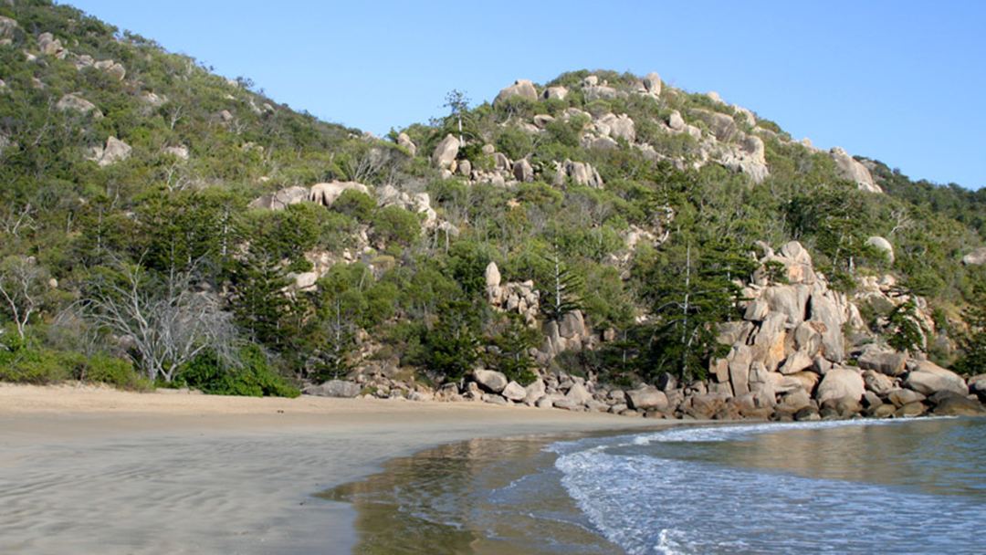 Article heading image for Human Skull Found Washed Up On Shore At Magnetic Island