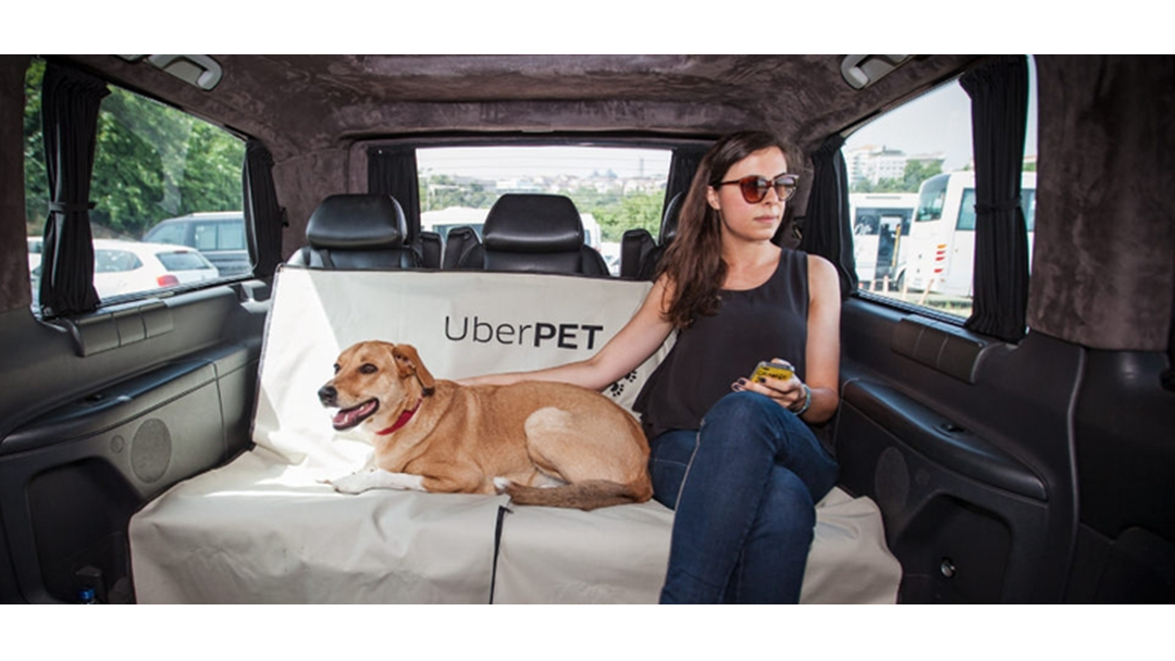 uber and pets