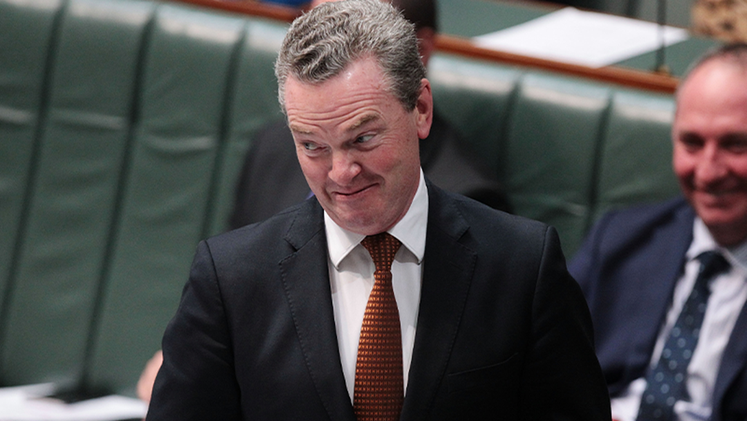 Article heading image for Christopher Pyne: The Political Triple Threat