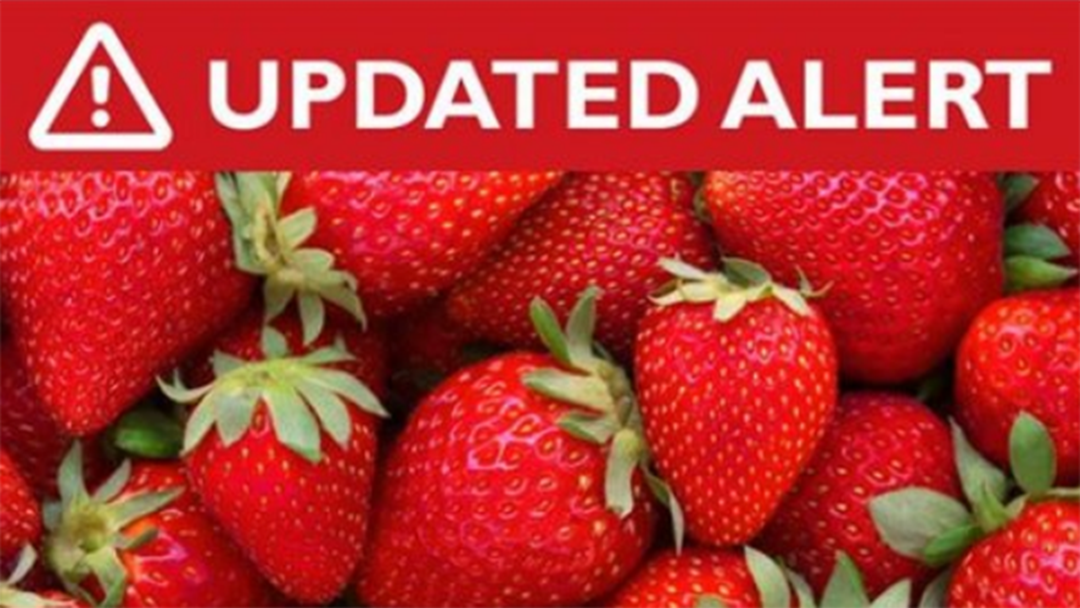 Article heading image for JUST IN | Police Believe Copycat Needle Found In Strawberries In Queensland 