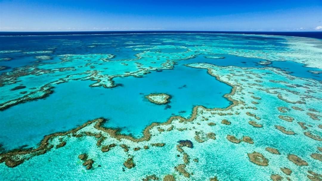 Article heading image for Woman Tragically Dies On Snorkelling Trip In The Whitsundays 