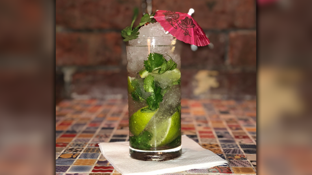 Article heading image for You Can Get Coriander Mojitos In Melbourne Because It’s The Scariest Herb Of All