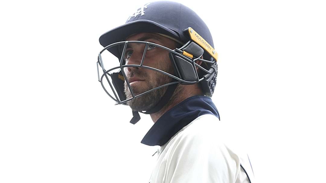 Article heading image for Glenn Maxwell Just Scored A Sheffield Shield Ton