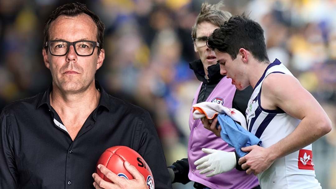 Article heading image for LISTEN | Damian Barrett Says The AFL Is “Partly To Blame” For Gaff’s Punch