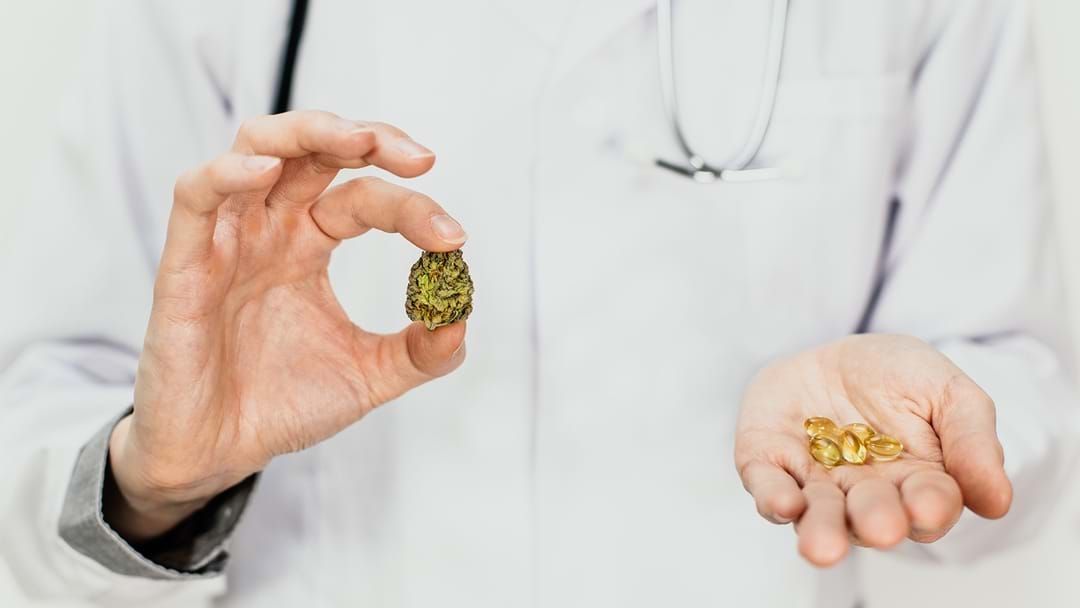 Article heading image for Adelaide’s First Medicinal Cannabis Clinic Opens In Pasadena