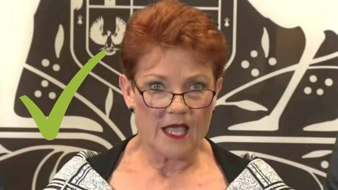 Article heading image for LISTEN: Moffee Explains How Pauline Hanson Could Be Taken Out of Context!
